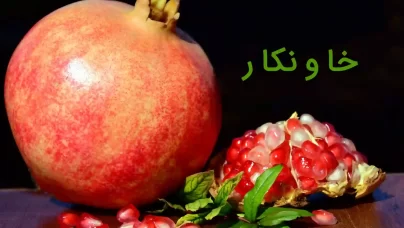 جشن خاونکار یارسان: گرامیداشت ظهور آیین یاری در هورامان