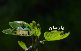 یارسان: آیین باستانی در سرزمین زاگرس